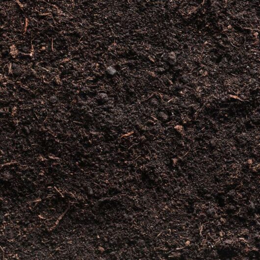 Organic Compost