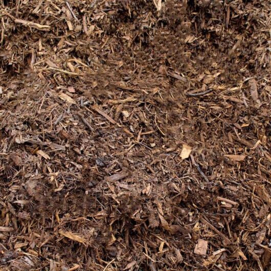 Fine Shredded Hardwood Bark Mulch